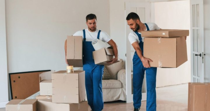 Divine Moving & Storage: A Proven Partner for Moving and Storage in New York City
