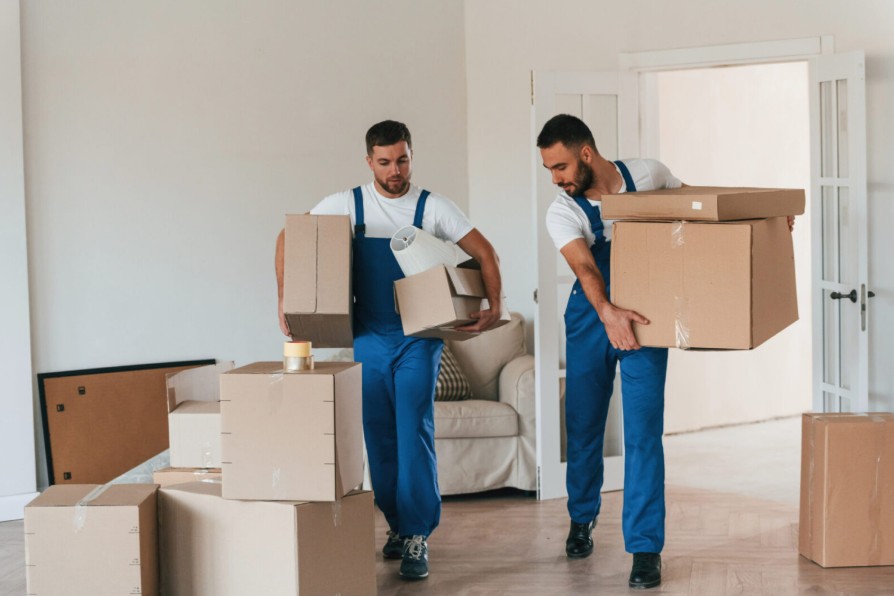 Divine Moving & Storage: A Proven Partner for Moving and Storage in New York City